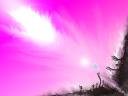 tn_gallery_1773_179_32522.jpg